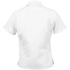 NEW Years 9-10 Girls Blouse/Number 1 Blouse (Sizes 6-14,18 & 20) - white